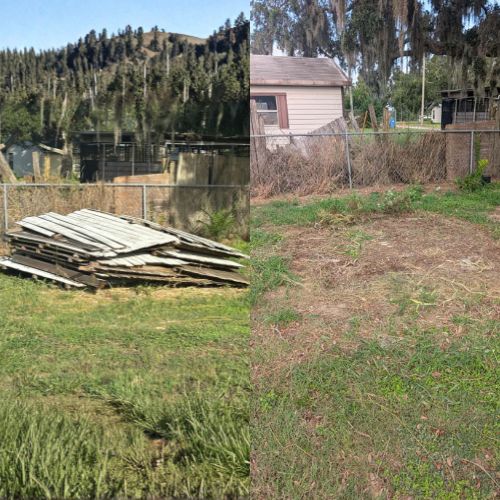 Cinta de Injertar (14)